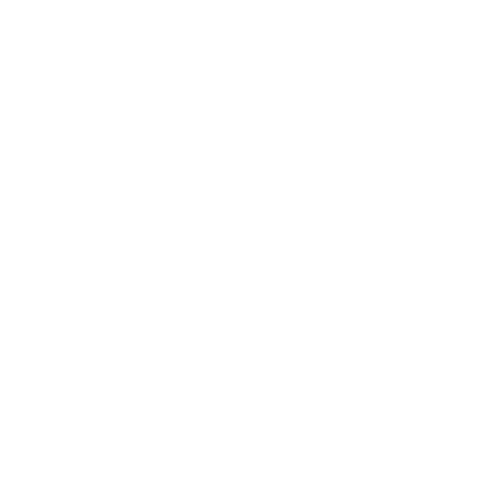 logoWHITE
